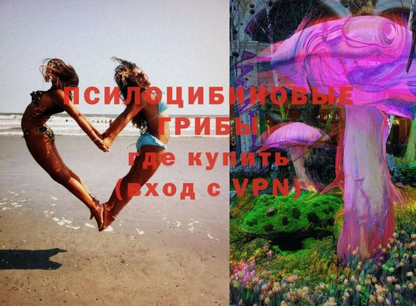 бутират Белокуриха