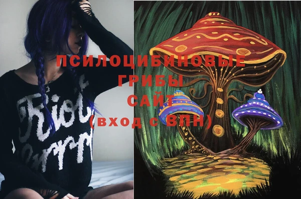бутират Белокуриха