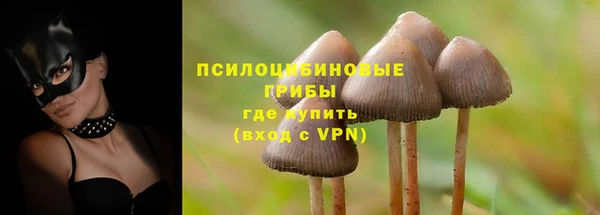 спайс Баксан