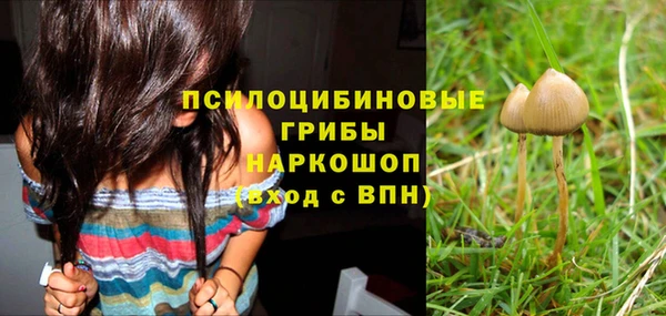 альфа пвп Беломорск