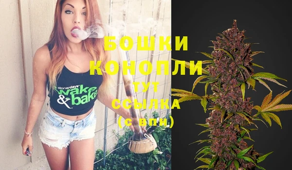 бутират Белокуриха
