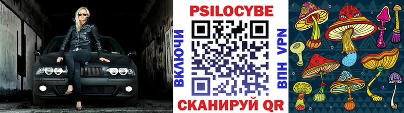 Псилоцибиновые грибы мухоморы цены OMG зеркало Ершов